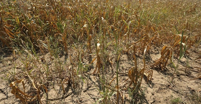 Na području Varaždina proglašena prirodna nepogoda zbog suše