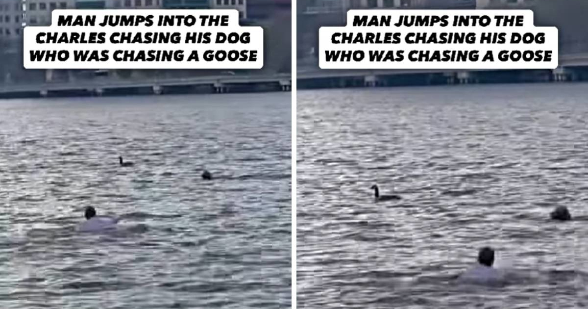 Muškarac iz Bostona skočio u ledenu rijeku kako bi spasio svog psa