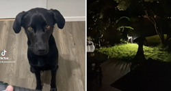 Pas koji se boji mraka naučio je koristiti svjetiljku pa s njom izlazi obaviti nuždu