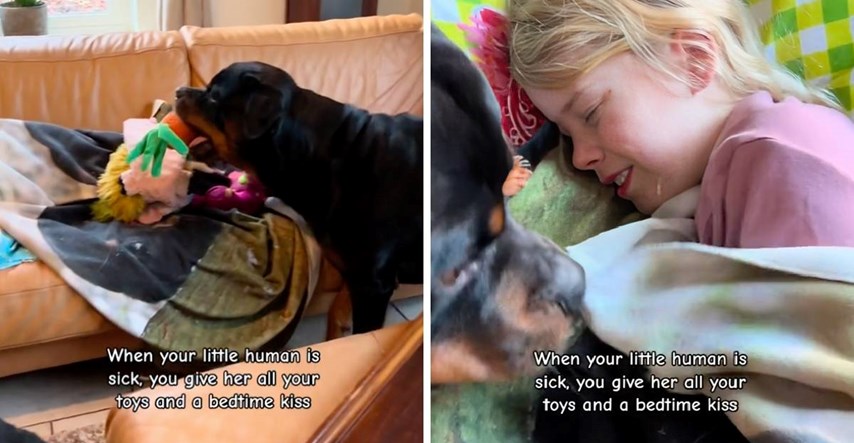 Djevojčica je bila bolesna, a onda je njezin pas učinio nešto što je oduševilo ljude