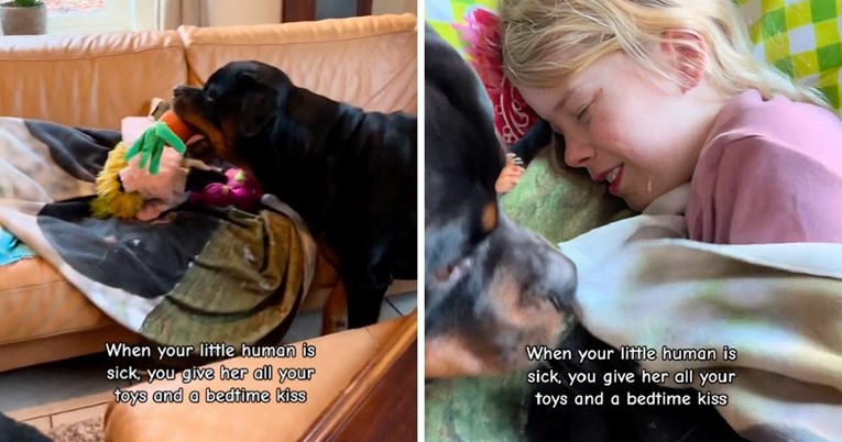 Djevojčica je bila bolesna, a onda je njezin pas učinio nešto što je oduševilo ljude