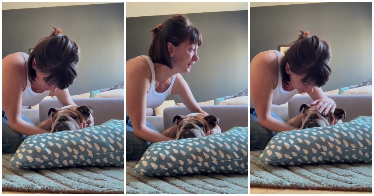 Ivana Paradžiković morala uspavati svog psa Tita: "Volio je i bio voljen"