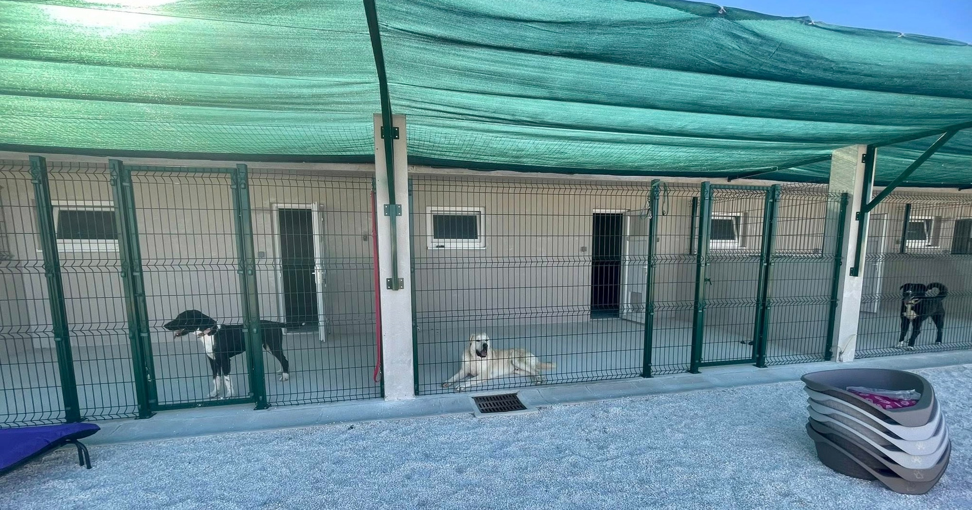 U Zadru otvoreno novo sklonište za napuštene životinje, može primiti 200 pasa