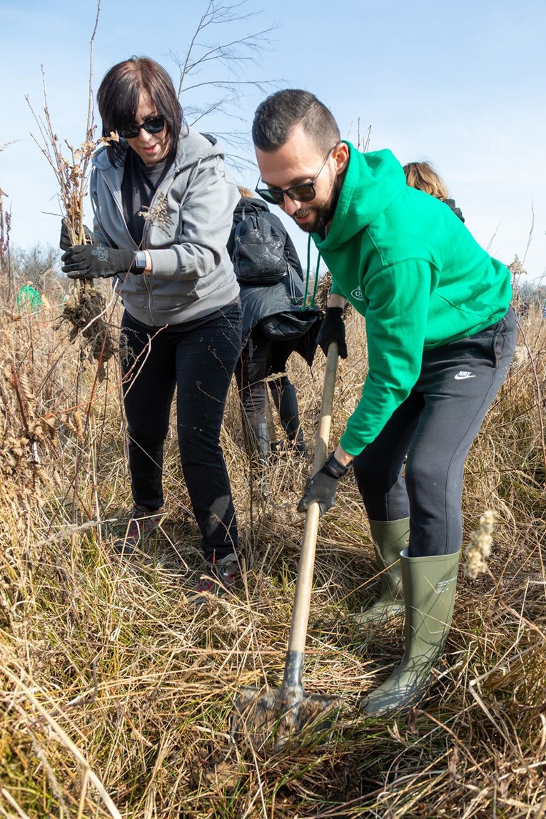 Dukatovi zaposlenici posadili 16.000 sadnica: Novo ruho posebnog šumskog rezervata