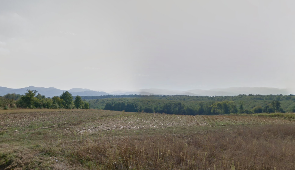 Kod Požege ubio srnu, traži ga policija