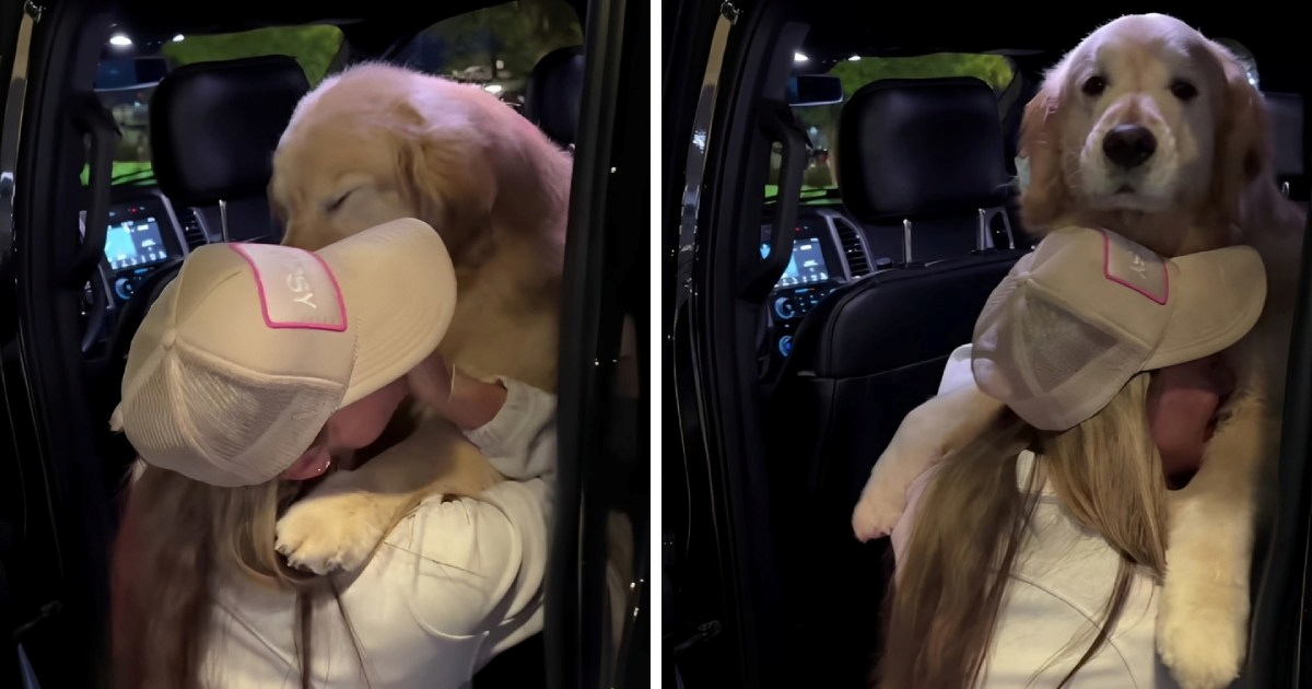 Pogledajte dirljiv susret zlatne retriverice i vlasnice nakon tjedan dana 🥹