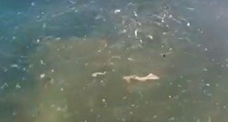 VIDEO Na splitskoj Rivi se ispuštaju fekalije u more, evo što kažu iz grada
