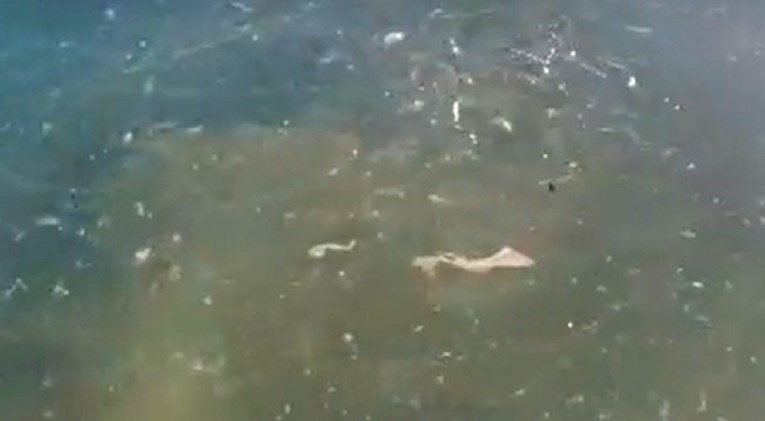 VIDEO Na splitskoj Rivi se ispuštaju fekalije u more, evo što kažu iz grada