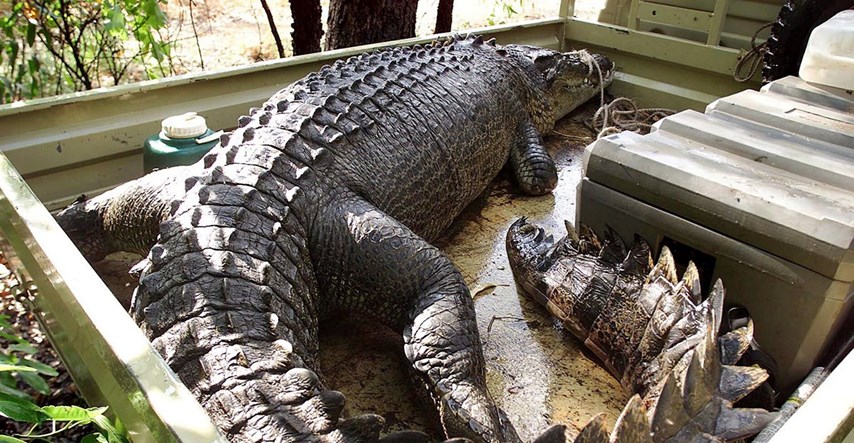 Dječak (9) kritično nakon napada krokodila u australskom nacionalnom parku