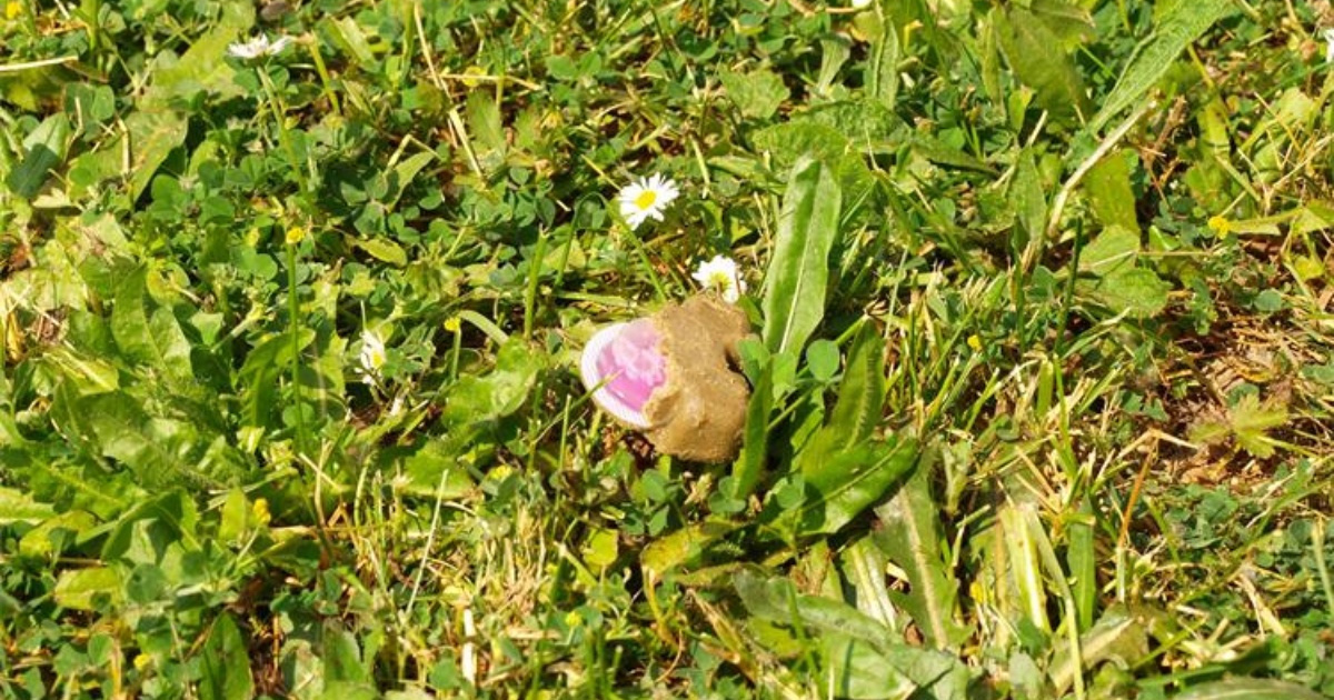 Ako u travi ugledate ovakav "kolačić", nemojte ga dirati