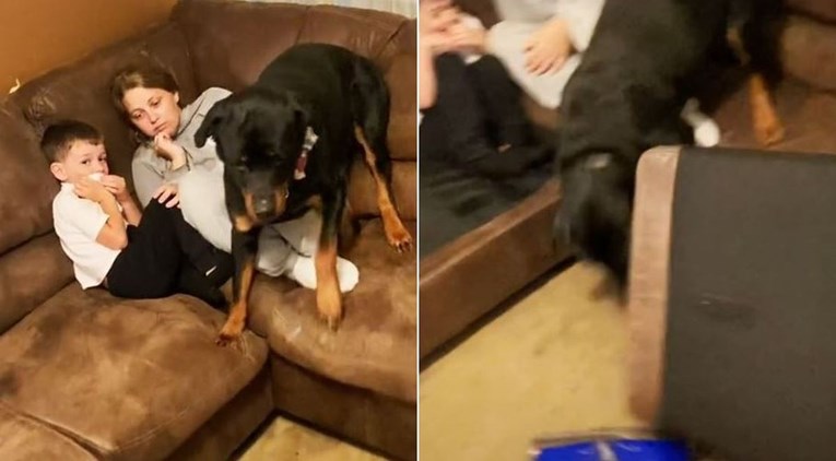 Pas na urnebesan način pokušao zaštititi djecu od usisivača