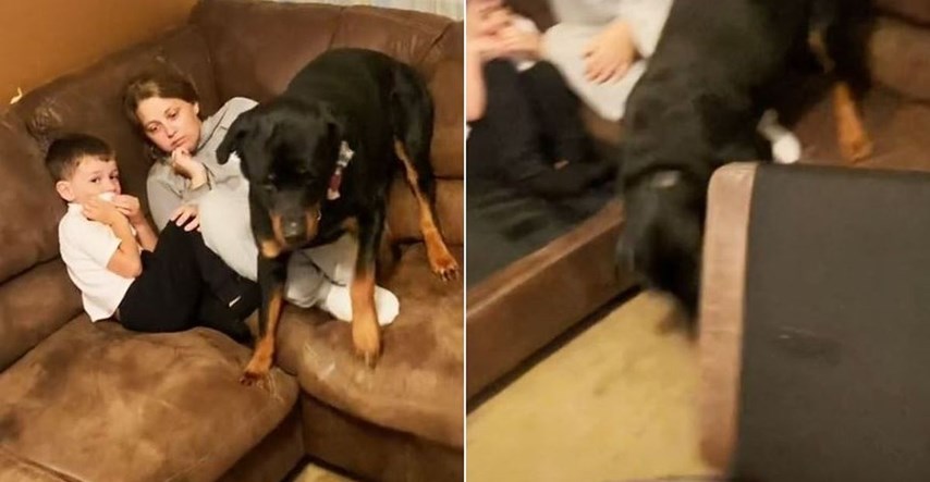 Pas na urnebesan način pokušao zaštititi djecu od usisivača