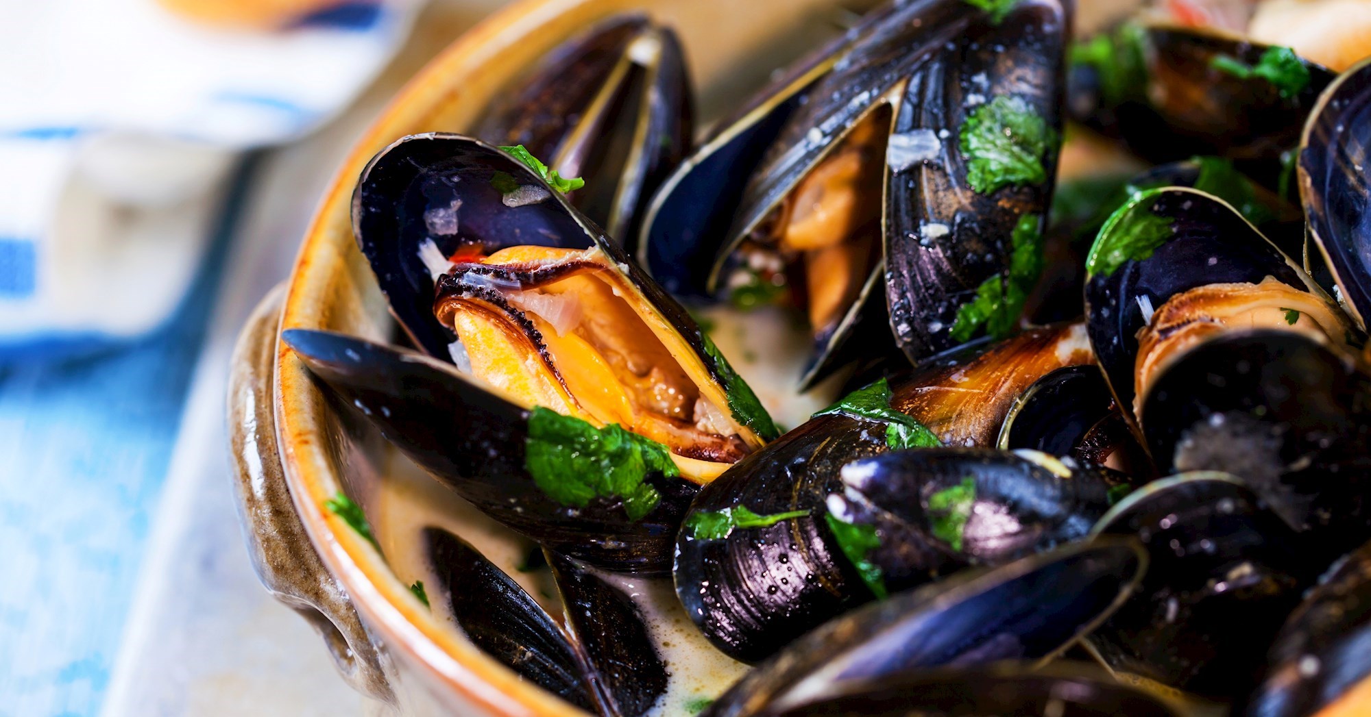 Novigradska dagnja danas je postala zaštićen proizvod, slavimo uz odlične recepte