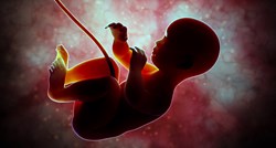U organima fetusa pronađene opasne toksične čestice