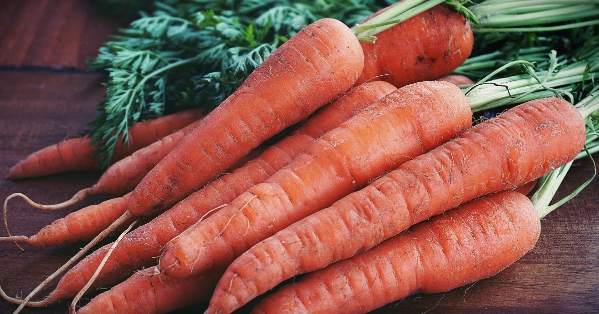 Nutricionistica: Lako dostupne namirnice koje hrane mozak i jačaju pamćenje