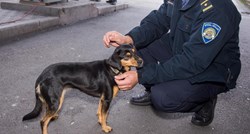Muškarac u Labinu vikao na svog psa pa prijetio policajcu i završio u pritvoru