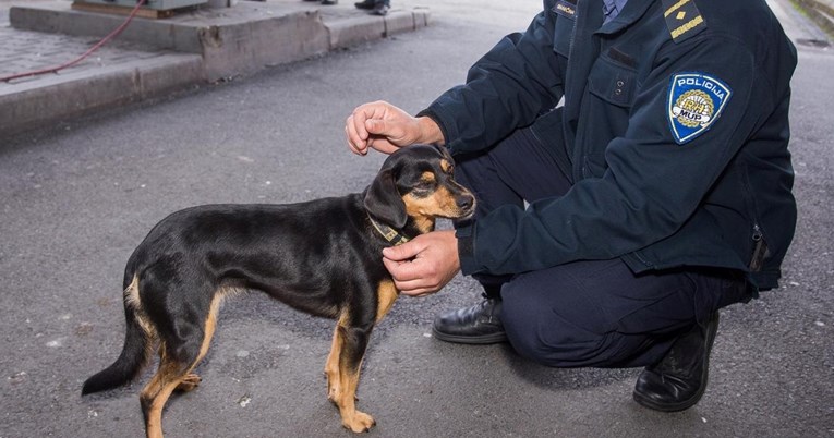 Muškarac u Labinu vikao na svog psa pa prijetio policajcu i završio u pritvoru
