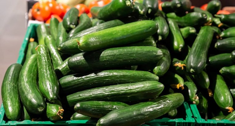 Agencije u SAD-u istražuju krastavce. 54 osobe završile u bolnici zbog salmonele 