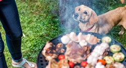 Je li štetno psima davati pečeno meso s roštilja?