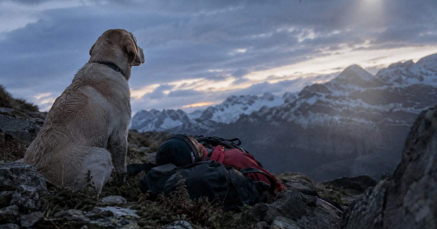 Labrador spasio vlasnika nakon pada s 20 metara u Alpama