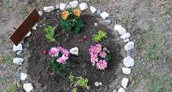 Na Črnomercu osvanuo mini-vrt s jasnom porukom "Gerila Vrtlara", pogledajte što piše