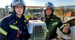 Vatrogasci u neobičnoj akciji spašavali vranu iz žlijeba zgrade u Zagrebu