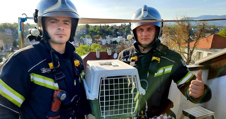 Vatrogasci u neobičnoj akciji spašavali vranu iz žlijeba zgrade u Zagrebu