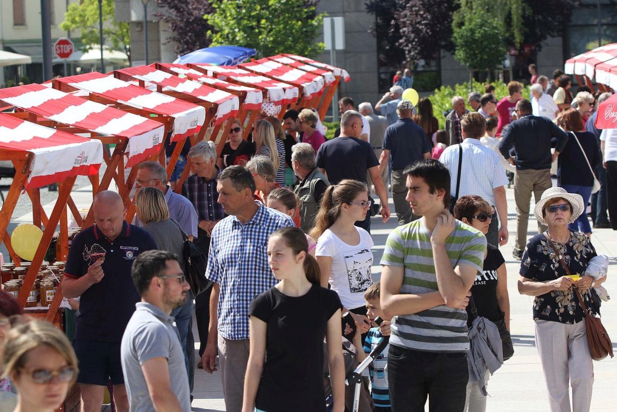 Varaždin osigurao 140.200 eura potpora za poduzetnike i obrtnike
