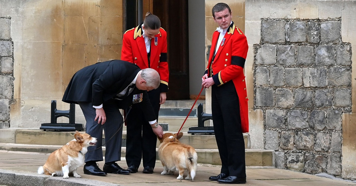Obitelj princa Andrewa nastavit će se brinuti o korgijima kraljice Elizabete