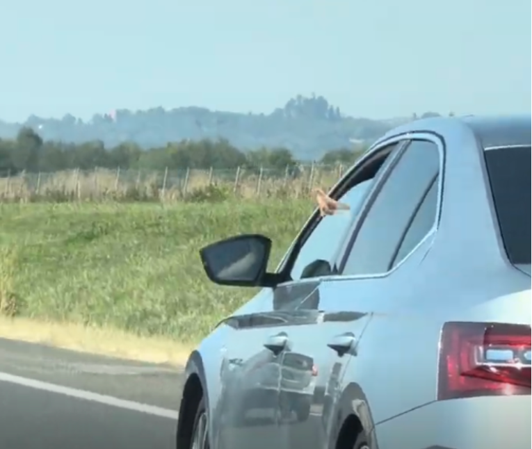 VIDEO Čeh baca opušak iz Škode na autocesti A1
