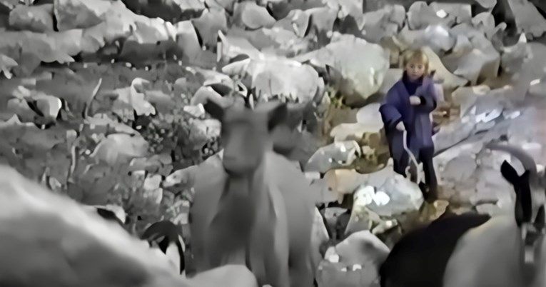Sjećate se snimke malenog Luke Modrića na Velebitu? Nastala je prije 34 godine