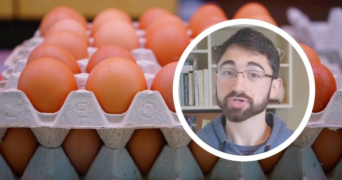 Student s Harvarda jeo 24 jaja dnevno. Rezultati su šokirali liječnike