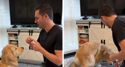 15 milijuna pregleda: Pokazao kako uči svoga psa da sluša naredbe, video je hit
