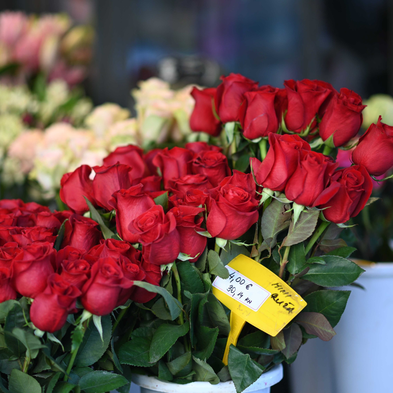 Pogledali smo ponudu ruža za Valentinovo na Cvjetnom. Cijene i do 4 eura
