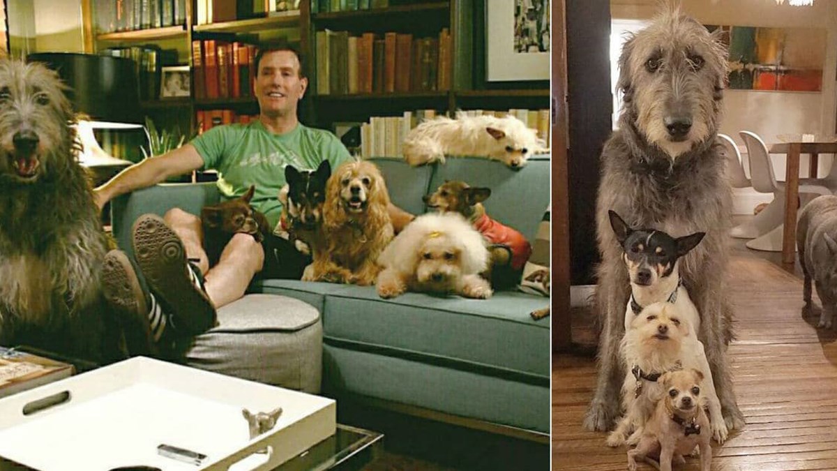 Patio je zbog smrti ljubimca, a onda je odlučio napraviti nešto prekrasno