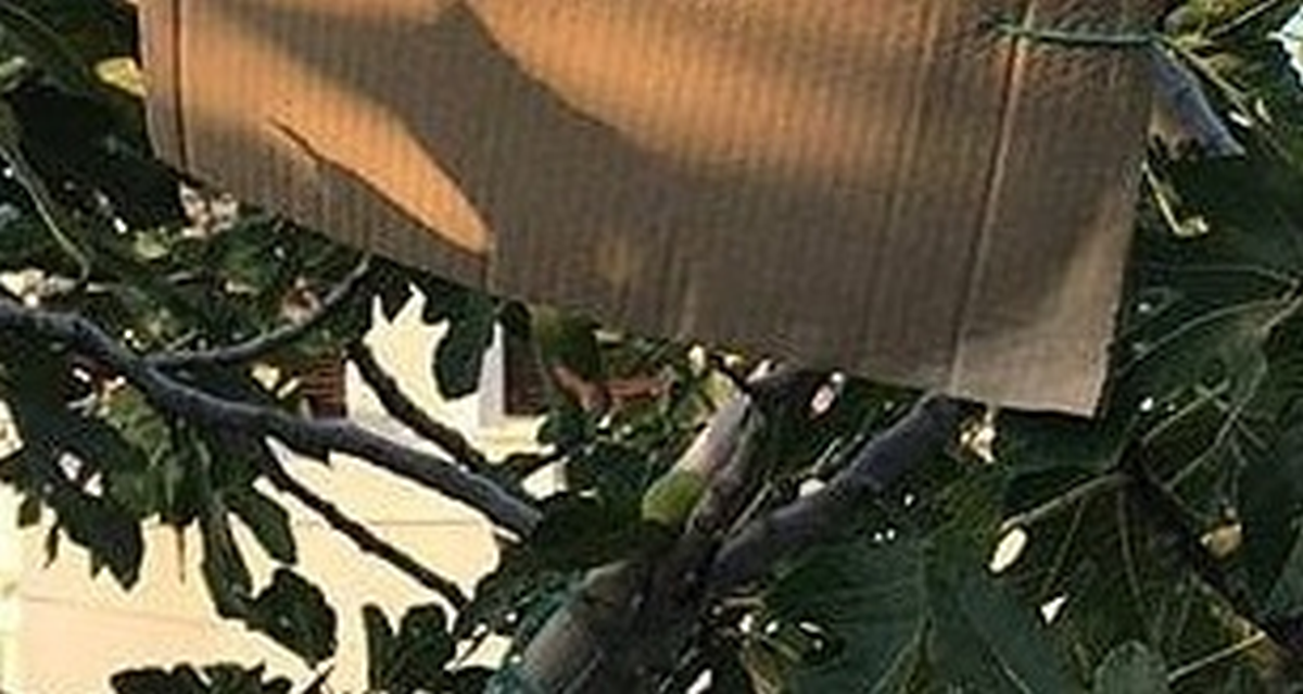 Nepismena poruka "zlikovcima" u Dalmaciji nasmijala Fejs