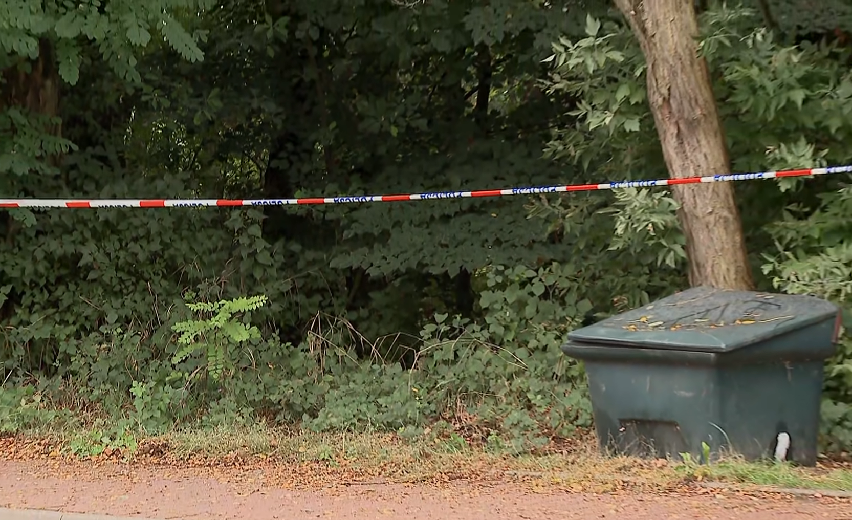 Muškarac u Poljskoj izletio iz šume i počeo pucati. Jednog čovjeka ubio, drugog ranio