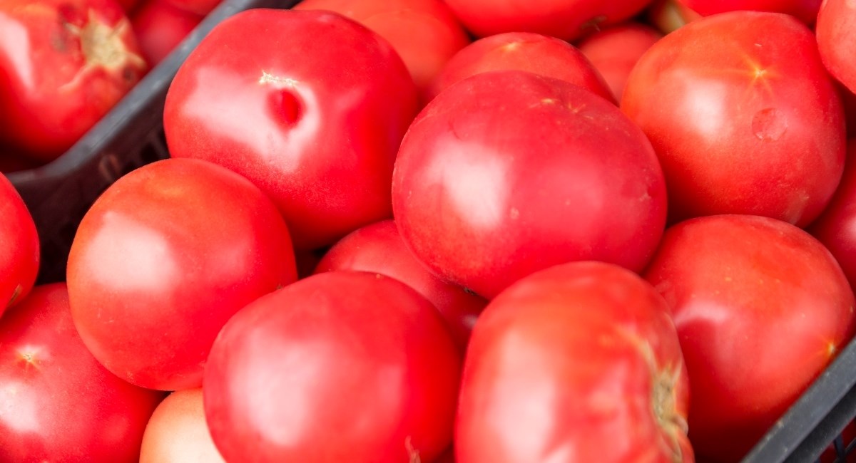 Kako prepoznati dobru rajčicu? Stvar je u ovome - ubuduće provjeravajte