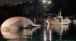 U Italiji pronađeno tijelo ogromnog kita, pogledajte slike