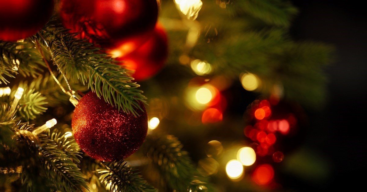 Belgijska agencija za hranu izdala upozorenje: "Nemojte jesti svoje božićno drvce"