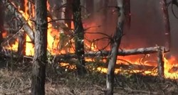 Šestero mrtvih u šumskim požarima u Ukrajini
