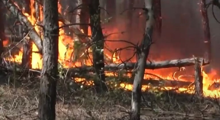 Šestero mrtvih u šumskim požarima u Ukrajini