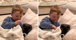 Dječak ušuškavao mačka u krevet, njegovo ponašanje prema ljubimcu dirnulo ljude