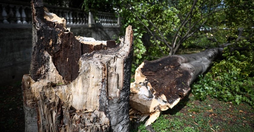 U Hercegovini na djevojčicu palo stablo, preminula je