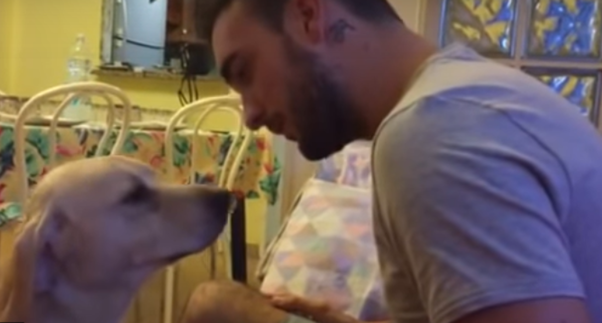 Pas je shvatio da je kriv pa je oprost vlasnika zatražio na najljepši način