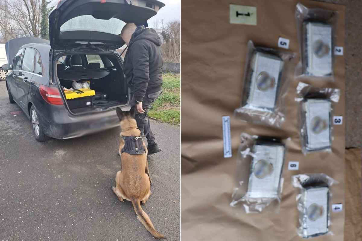 Policijski pas Rea pronašao gotovo 6 kg kokaina u Zagrebu