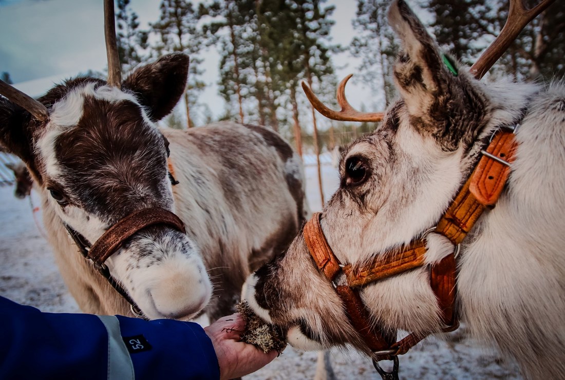 Turisti upozoreni na zimski trend koji ih može skupo stajati