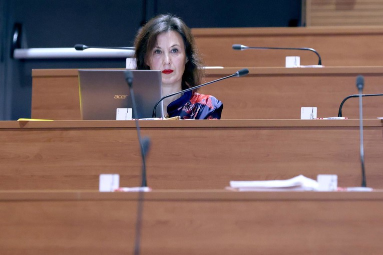 Branitelj prijetio Daliji Orešković smrću na Fejsu, našli mu pušku. Dobio uvjetnu