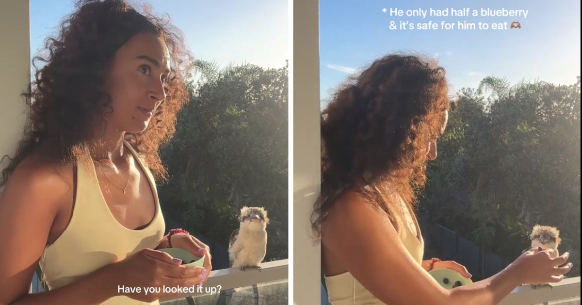 Tiktokerica se sprijateljila s kukaburom: Video postao viralni hit