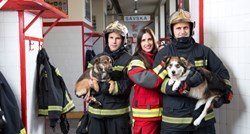 Vatrogasci: Svjedočili smo okrutnostima držanja pasa na lancu